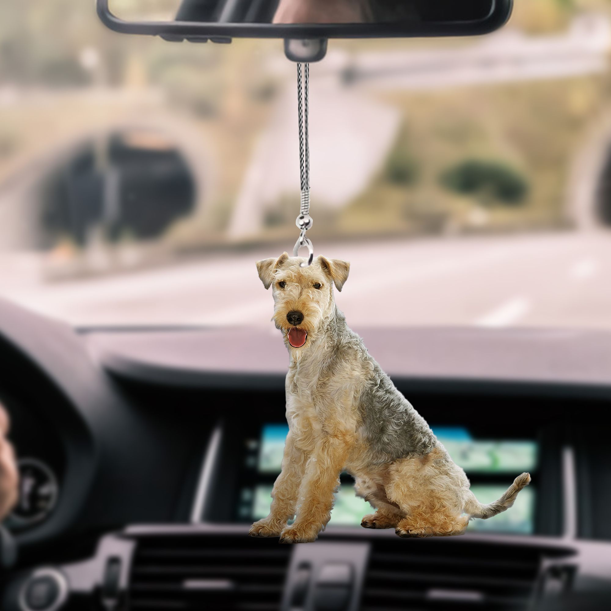Car Hanging Ornament 9X Print