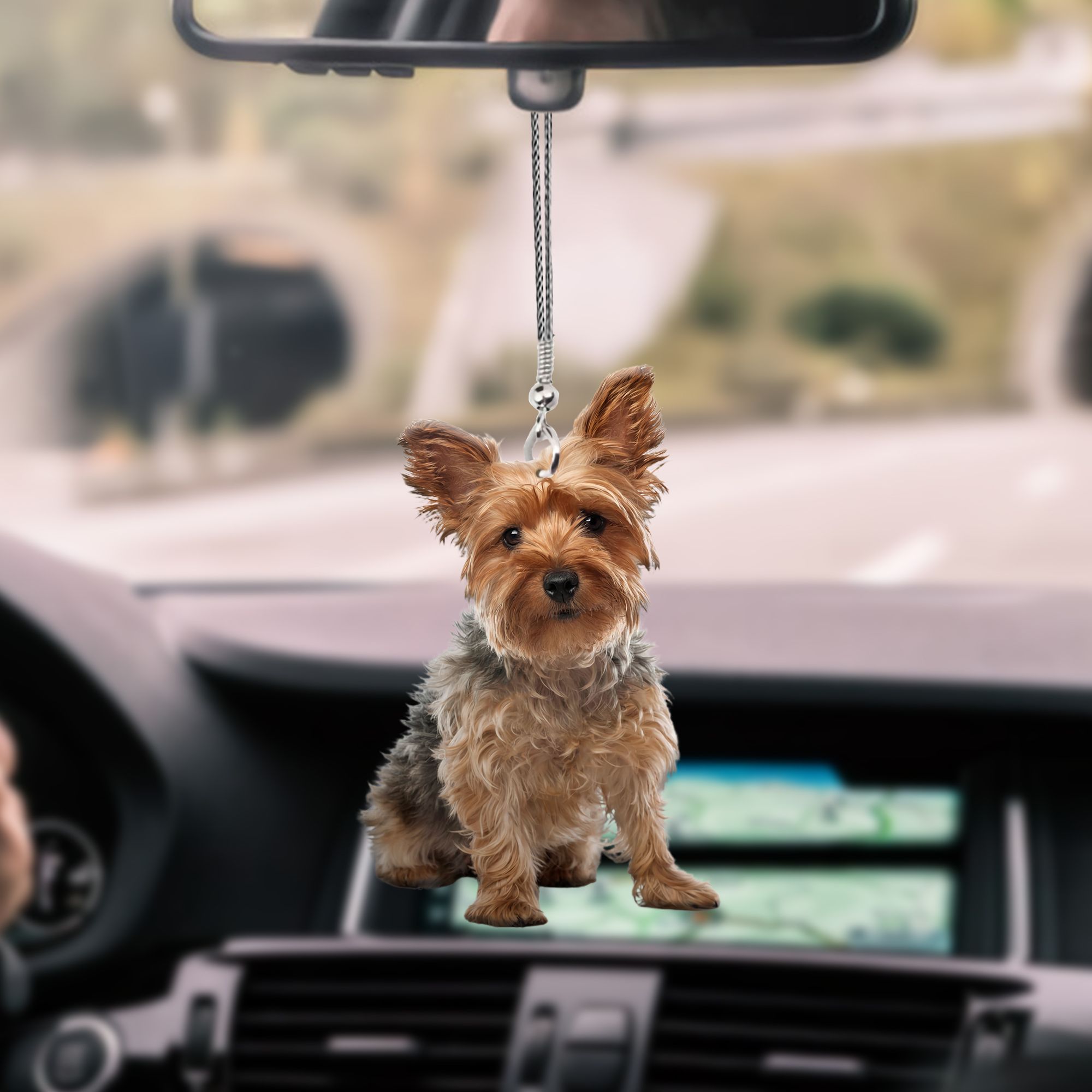 yorkshire-terrier-sitting-py77-ntt070997-nct-car-hanging-ornament