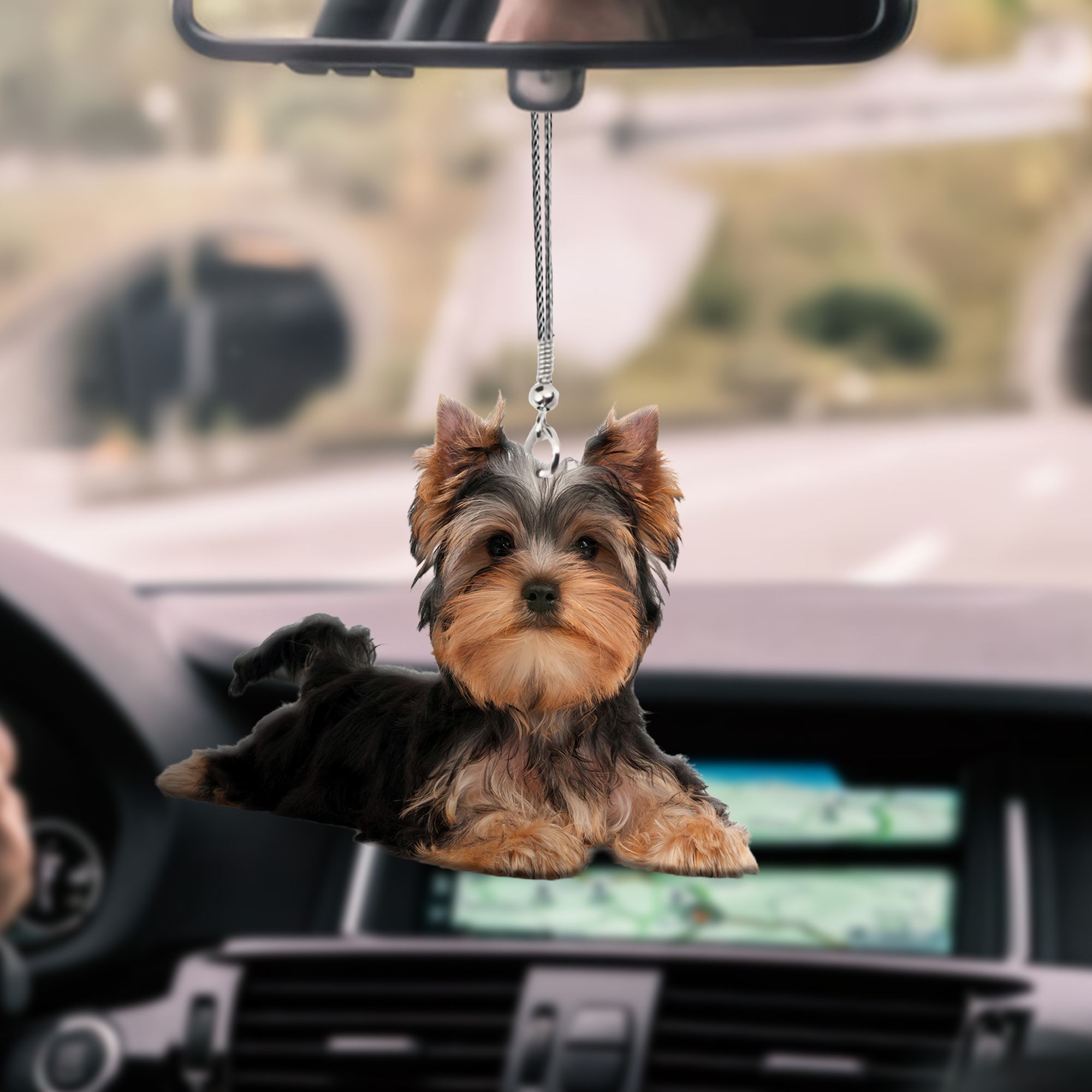 yorkshire-terrier-lying-py75-ntt070997-nct-car-hanging-ornament